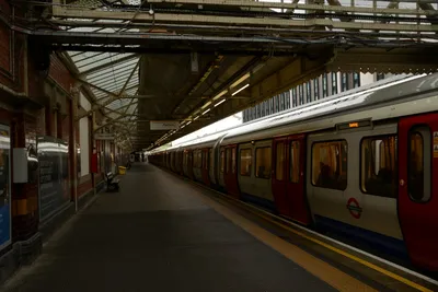 DSC_1222 (Large).JPG